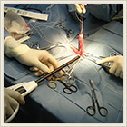 gÌŐ؊Ju Ethicon Endo-Surgery,Inc.n[jbNXJy